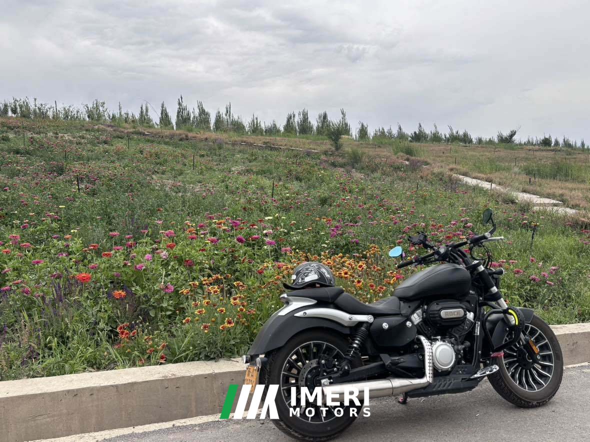 2021 Benda Polestones 03 Gray 300 cc