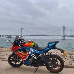 CFMOTO 250SR - photo 2