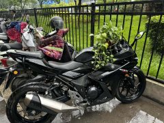 Haojue Suzuki GSX250R - photo 2