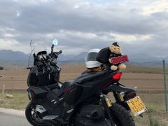 Honda ADV350 - ფოტო 8