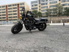 SHINERAY 1200 - фото 1