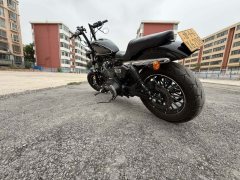 SHINERAY 1200 - фото 4