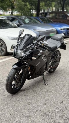 Haojue Suzuki GSX250R - photo 1