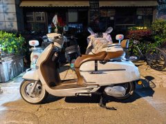 Weiduoliya Sixties 150Si - ფოტო 1