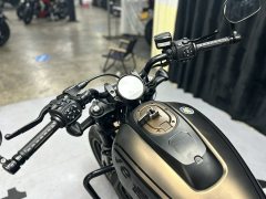 Harley-Davidson Sportster S 1250 cc - фото 9
