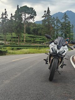 CFMOTO 250SR - ფოტო 4