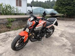 Kayo Cobra 321R 320 cc - ფოტო 2