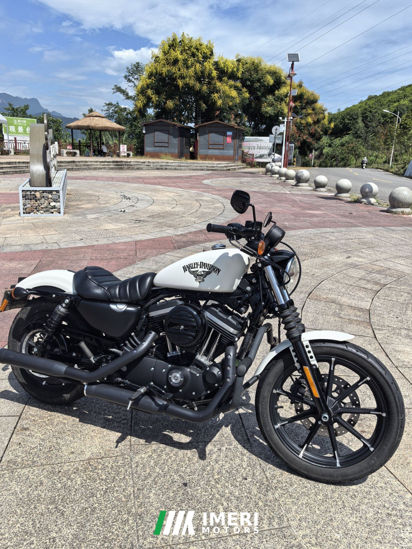 2019 Harley-Davidson Iron883 Tough Guy