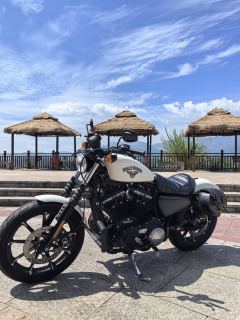 Harley-Davidson Iron883 Tough Guy - photo 3