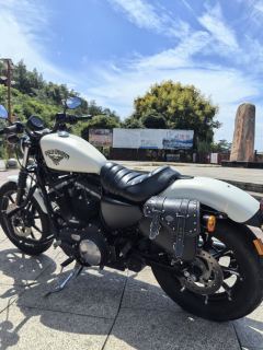 Harley-Davidson Iron883 Tough Guy - photo 6