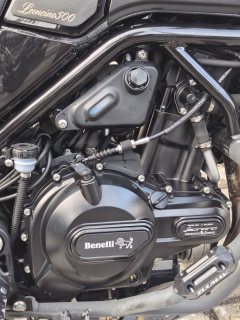 Benelli Lion Cub Leoncino 500 - ფოტო 6