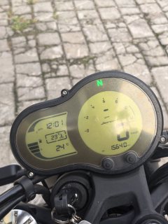 Benelli Lion Cub Leoncino 500 - ფოტო 9