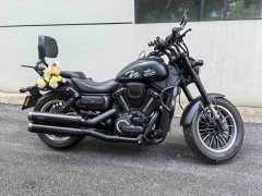 QJMOTOR 600 550 cc - ფოტო 4