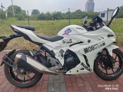 Haojue Suzuki GSX250R - ფოტო 4