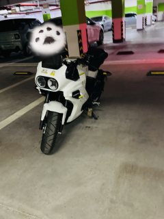 CFMOTO Papio XO-1 125 cc - ფოტო 2