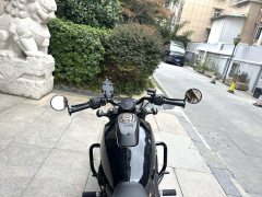 Harley-Davidson Sportster S 1250 cc - ფოტო 4
