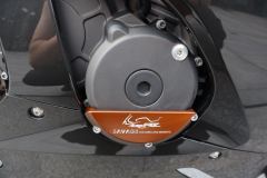 Kayo 450RR - ფოტო 6