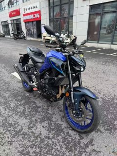 Yamaha MT-03 320 cc - ფოტო 3