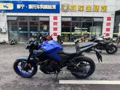 Yamaha MT-03 320 cc - ფოტო 6