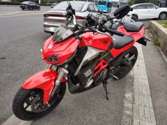 Dayun 302 300 cc - ფოტო 1