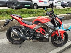 Dayun 302 300 cc - ფოტო 2