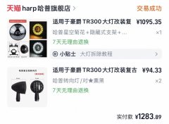 Haojue TR300 - photo 6
