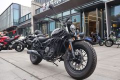CFMOTO 250CL-C - photo 3