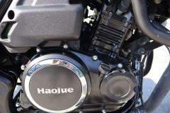 Haojue TR300 - photo 7