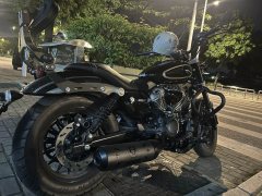 Benda Chinchilla 250 - photo 2