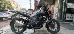 Benelli Leoncino 250 - ფოტო 2