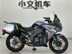 Cyclone RG401 400 cc - ფოტო 4