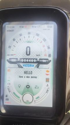 Weiduoliya Sixties 250Si - ფოტო 4