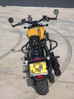 Benda Chinchilla 350 - photo 7