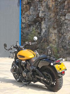Benda Chinchilla 350 - photo 8