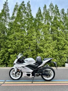 Yamaha YZF-R3 320 cc - ფოტო 2