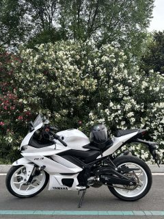 Yamaha YZF-R3 320 cc - ფოტო 6