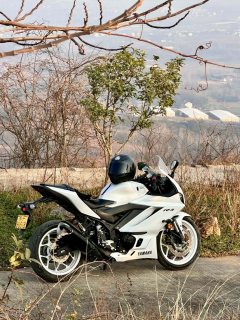 Yamaha YZF-R3 320 cc - ფოტო 9