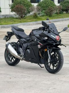 Suzuki GSX-R 250 - ფოტო 1