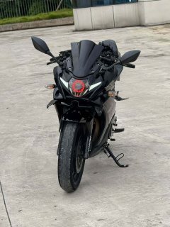 Suzuki GSX-R 250 - ფოტო 5