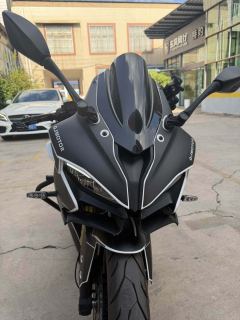 QJMOTOR SRK 250 - фото 3