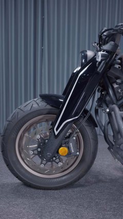 Benda Napoleon 450 - ფოტო 6