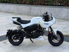 CFMOTO Papio XO-1 125 cc - ფოტო 2