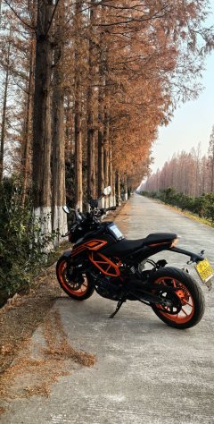 KTMR2R 250 Duke - ფოტო 3