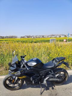 Voge 250RR - ფოტო 4