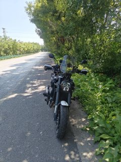 Benelli Leoncino 500 - ფოტო 5