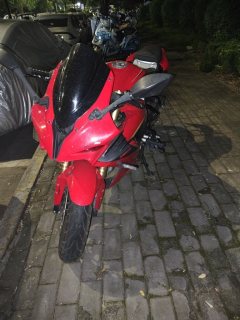 QJMOTOR Sai 600 - photo 3