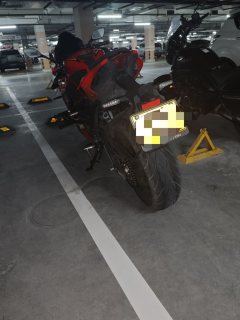 QJMOTOR Sai 600 - photo 7