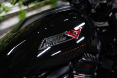 Harley-Davidson Sportster S 1250 cc - фото 5