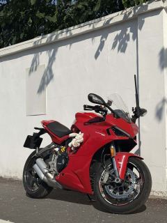 Ducati SuperSport 950 cc - ფოტო 3