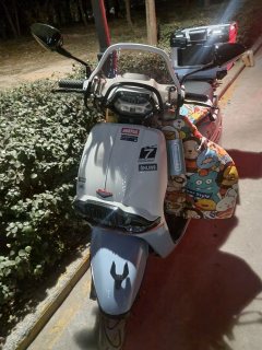 Weiduoliya Sixties 250Si - photo 2